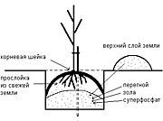 Техника посадки (таблица)